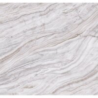 Digitaldruck-Tapete Beige, Creme, Grau, Silber Rasch...