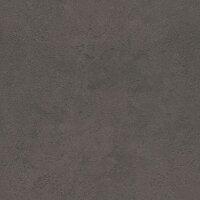 Tapete Schwarz, Anthrazit Rasch Vliestapete (315189)