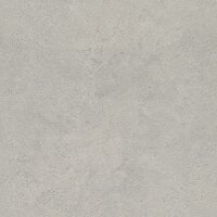 Tapete Grau, Silber Rasch Vliestapete (315141)