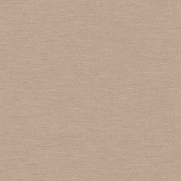 Tapete Braun AS-Creation Vliestapete (390983)