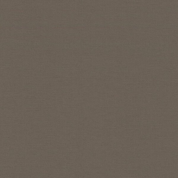 Tapete Braun, Grau AS-Creation Vliestapete (390977)