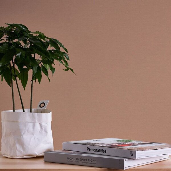 Tapete Braun AS-Creation Vliestapete (390972)