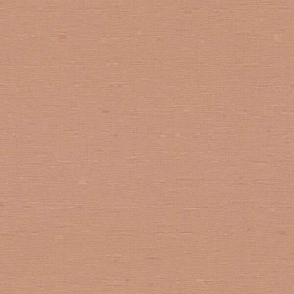 Tapete Braun AS-Creation Vliestapete (390972)