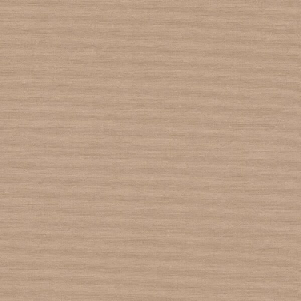 Tapete Braun AS-Creation Vliestapete (390972)