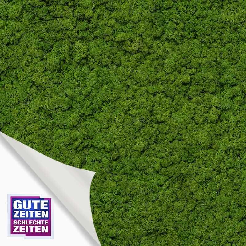 34864 Digitaldruck-Tapete GZSZ Grün Botanical Dschungel 3D Optik Vliestapete Marburg