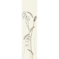 Digitaldruck-Tapete Beige, Creme, Braun, Schwarz,...