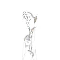 Digitaldruck-Tapete Braun, Grau, Silber, Wei&szlig;...