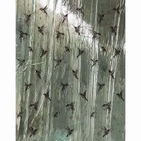 Digitaldruck-Tapete Gr&uuml;n Marburg (63463)