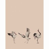 Digitaldruck-Tapete Beige, Creme, Rosa, Rose Marburg (63442)