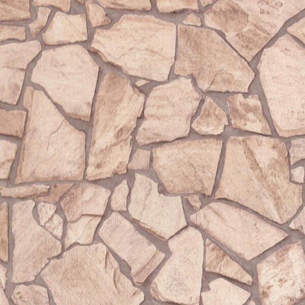 Tapete Braun AS-Creation Vliestapete (927323)