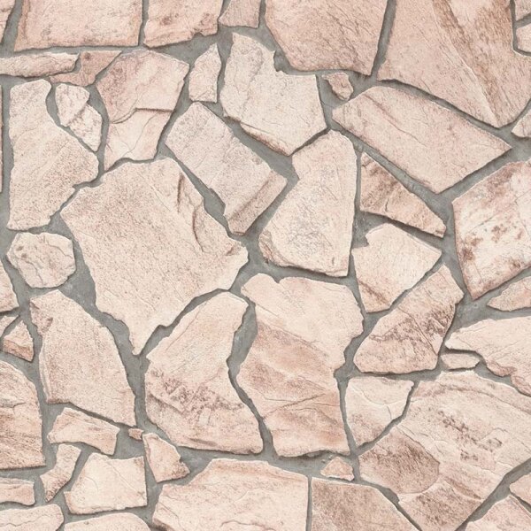 Tapete Braun AS-Creation Vliestapete (927323)