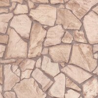 Tapete Braun AS-Creation Vliestapete (927323)