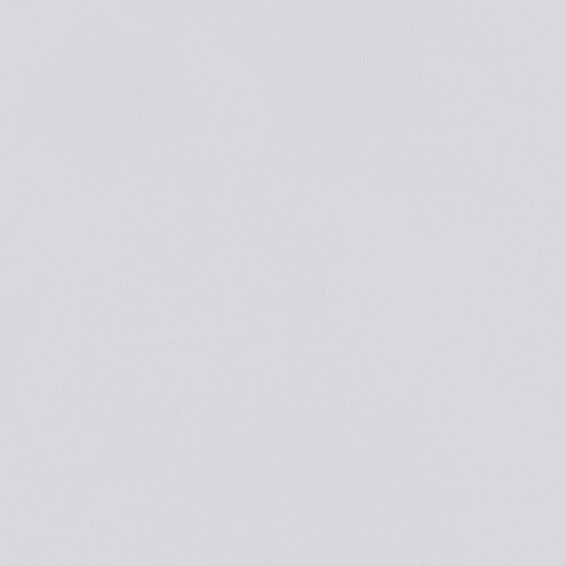 6 Rollen ERFURT Variovlies Plano Superweiss 20 x 0,53 m (Karton)