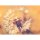 (SAMPLE) Digitaldruck-Tapete Dandelion 1 livingwalls (DD118594)