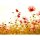 (SAMPLE) Digitaldruck-Tapete Flower Meadow 2 livingwalls (DD118600)