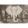 (SAMPLE) Digitaldruck-Tapete Elephant Head 2 Architects Paper (DD118125)