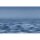 (SAMPLE) Digitaldruck-Tapete Water Surface Artwork 3 Architects Paper (DD118380)