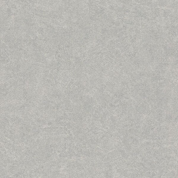Tapete Grau, Silber Rasch Vliestapete (699807)