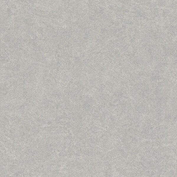 Tapete Grau, Silber Rasch Vliestapete (699807)