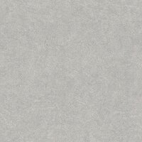 Tapete Grau, Silber Rasch Vliestapete (699807)