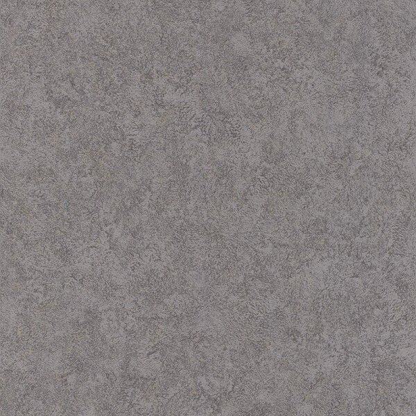 Tapete Schwarz, Anthrazit Rasch Vliestapete (649307)