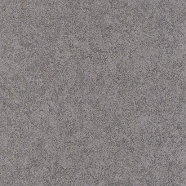 Tapete Schwarz, Anthrazit Rasch Vliestapete (649307)