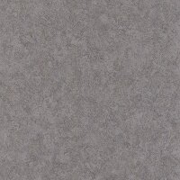 Tapete Schwarz, Anthrazit Rasch Vliestapete (649307)