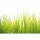 (SAMPLE) Digitaldruck-Tapete High Grass livingwalls (DD119027)