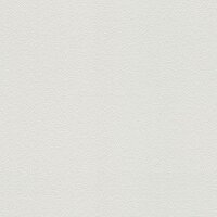 Tapete Wei&szlig; &Uuml;berstreichbar AS-Creation (103819)