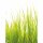 (SAMPLE) Digitaldruck-Tapete High Grass livingwalls (DD119137)