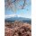 (SAMPLE) Digitaldruck-Tapete Mount Fuji in Japan livingwalls (DD119173)