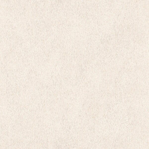 Tapete Weiß Rasch Vliestapete (423204)