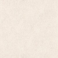 Tapete Wei&szlig; Rasch Vliestapete (423204)