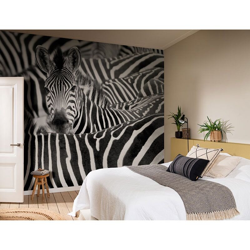 Digitaldruck-Tapete Schwarz-Weiß Rasch (363616)