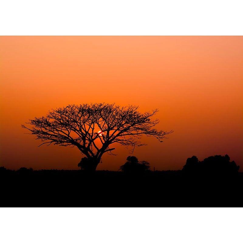 363647 Digitaldruck-Tapete Bäume Wald Landschaft Orange Rot Schwarz Rasch