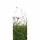 (SAMPLE) Digitaldruck-Tapete Grass livingwalls (DD116089)