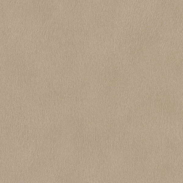 Tapete Braun Rasch Vliestapete (751055)