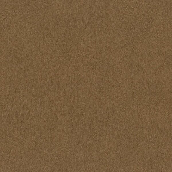 Tapete Braun Rasch Vliestapete (751079)