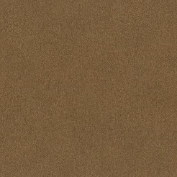Tapete Braun Rasch Vliestapete (751079)