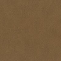 Tapete Braun Rasch Vliestapete (751079)