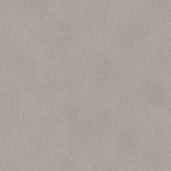 Tapete Grau, Silber Rasch Vliestapete (751062)
