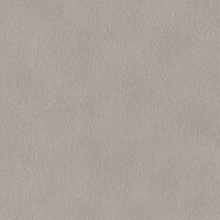 Tapete Grau, Silber Rasch Vliestapete (751062)