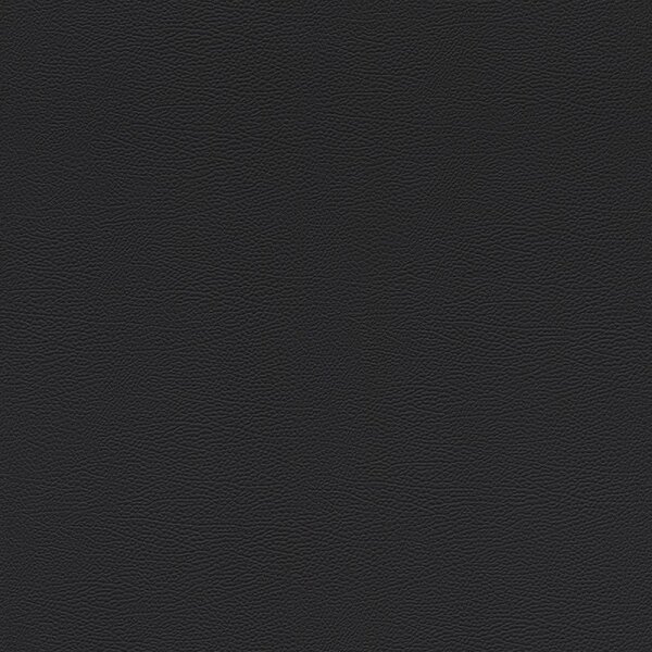 Tapete Schwarz, Anthrazit Rasch Vliestapete (752656)