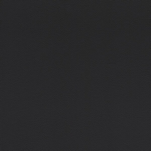 Tapete Schwarz, Anthrazit Rasch Vliestapete (752656)