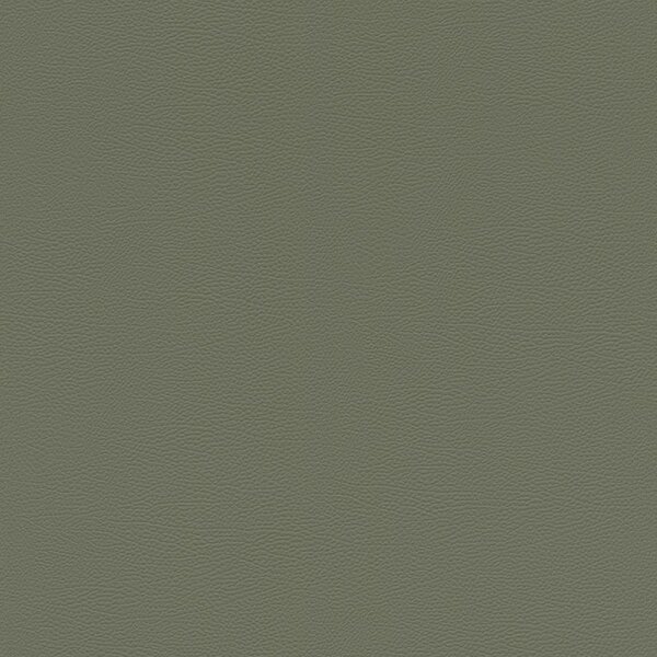 Tapete Grün Rasch Vliestapete (752687)