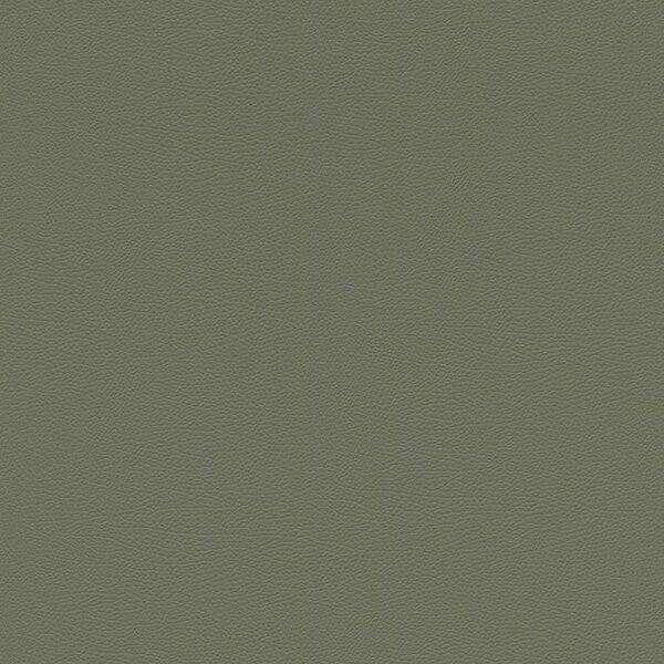 Tapete Grün Rasch Vliestapete (752687)