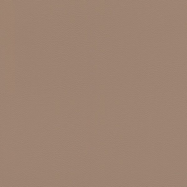 Tapete Braun Rasch Vliestapete (752724)