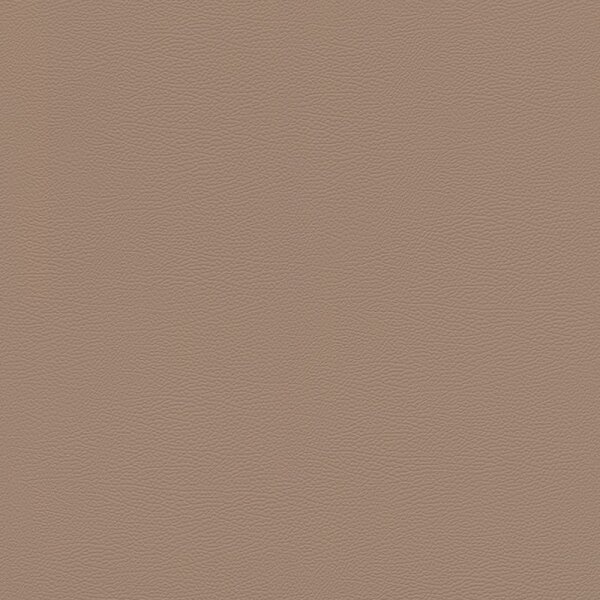 Tapete Braun Rasch Vliestapete (752724)