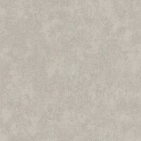 Tapete Grau, Silber Rasch Vliestapete (315721)