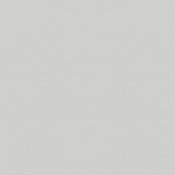 Tapete Grau, Silber Rasch Vliestapete (732344)